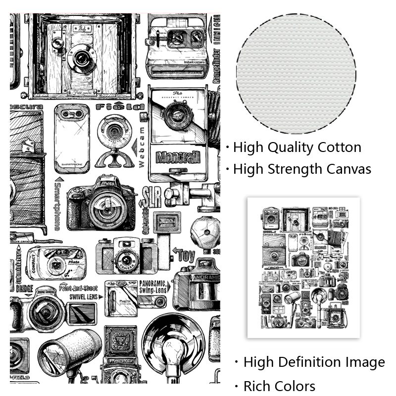 Vintage Camera Collection illu - Collectible Vintage Cameras reseña y precio