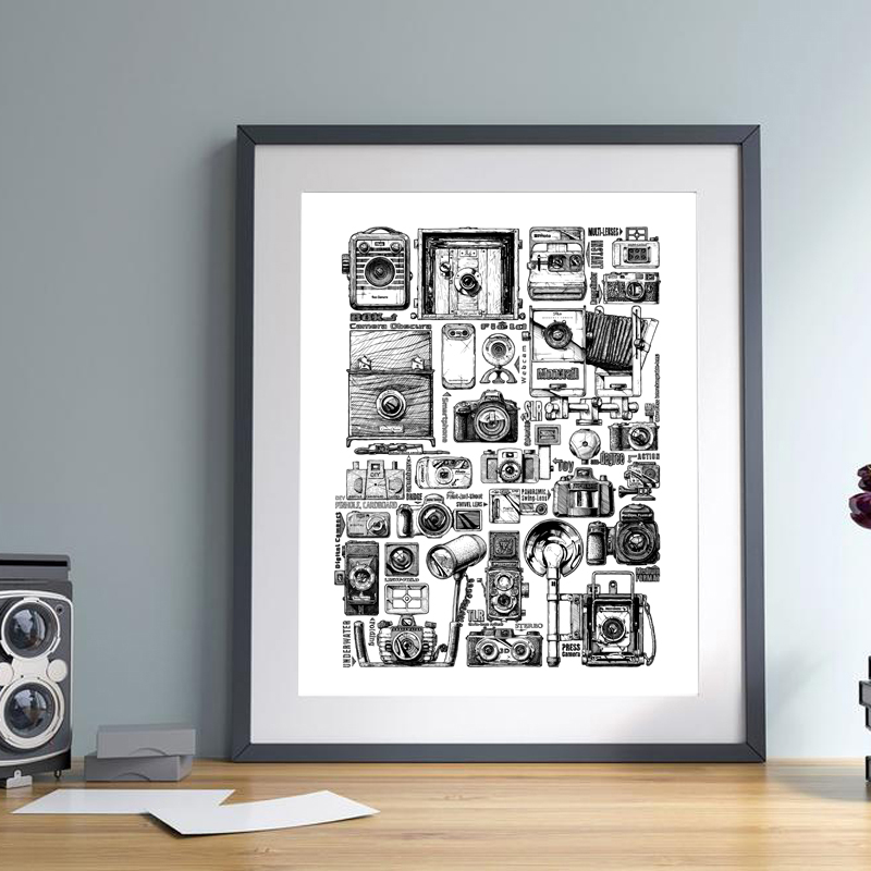 Vintage Camera Collection illu - Collectible Vintage Cameras reseña y precio
