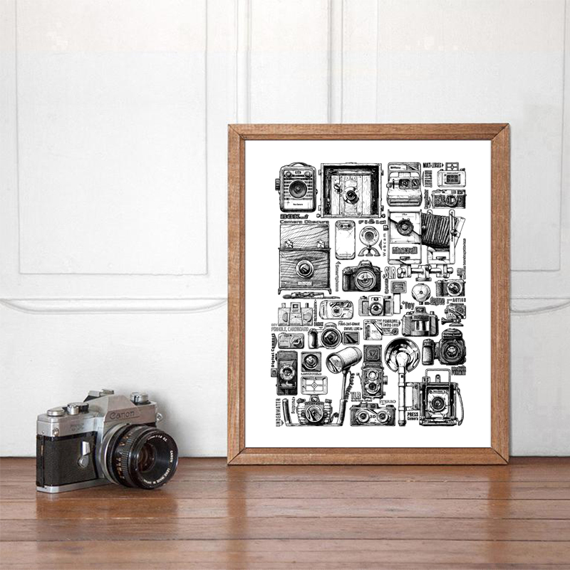 Vintage Camera Collection illu - Collectible Vintage Cameras reseña y precio