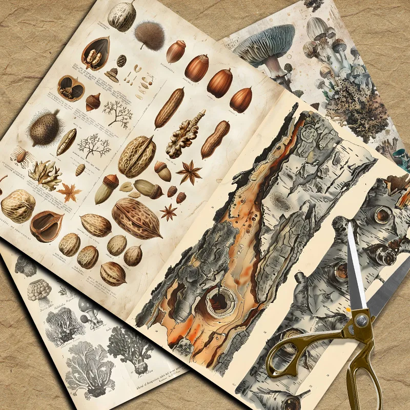 New Vintage Material Papers DI - Vintage Collectible Cards reseña y precio